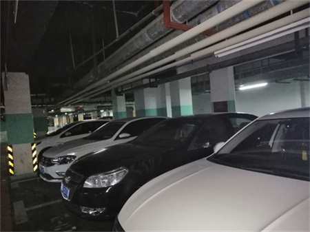 “沪上车贵一车难求” 上海汽车产业链按下重启键